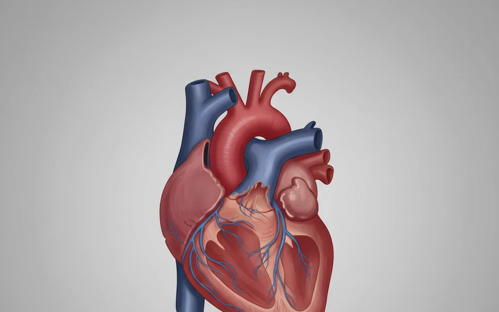 Heart Health Supplements in Kenya