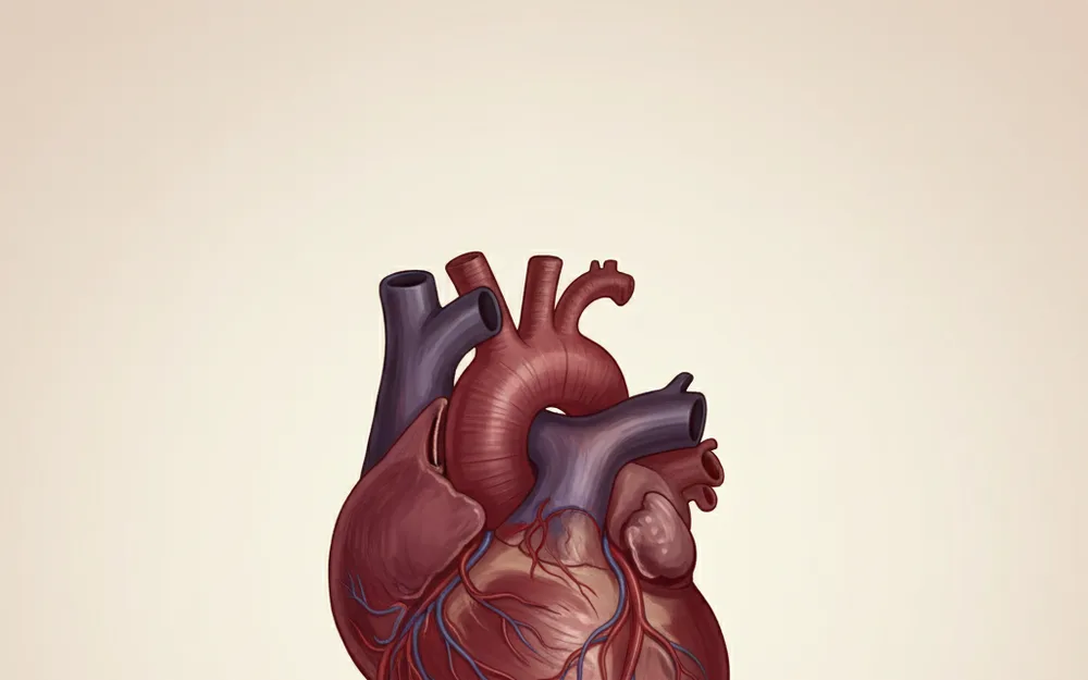 Heart Health Supplements in Kenya