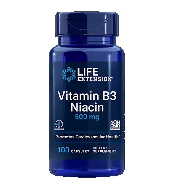 Life Extension Vitamin B3 Niacin